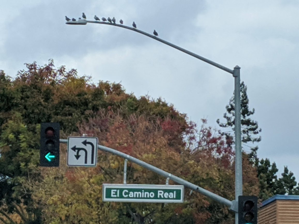 ElCamino