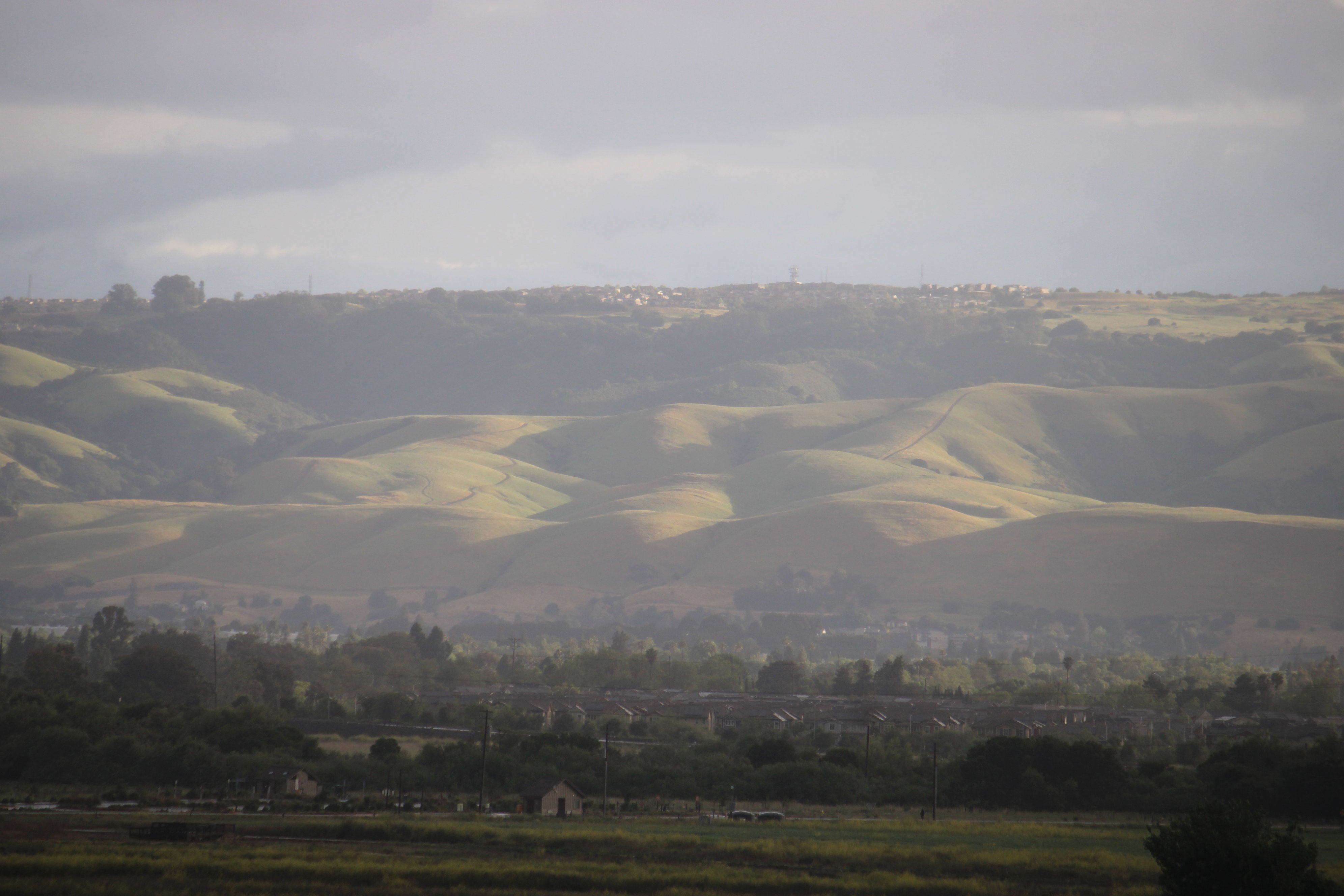 EastBayHills