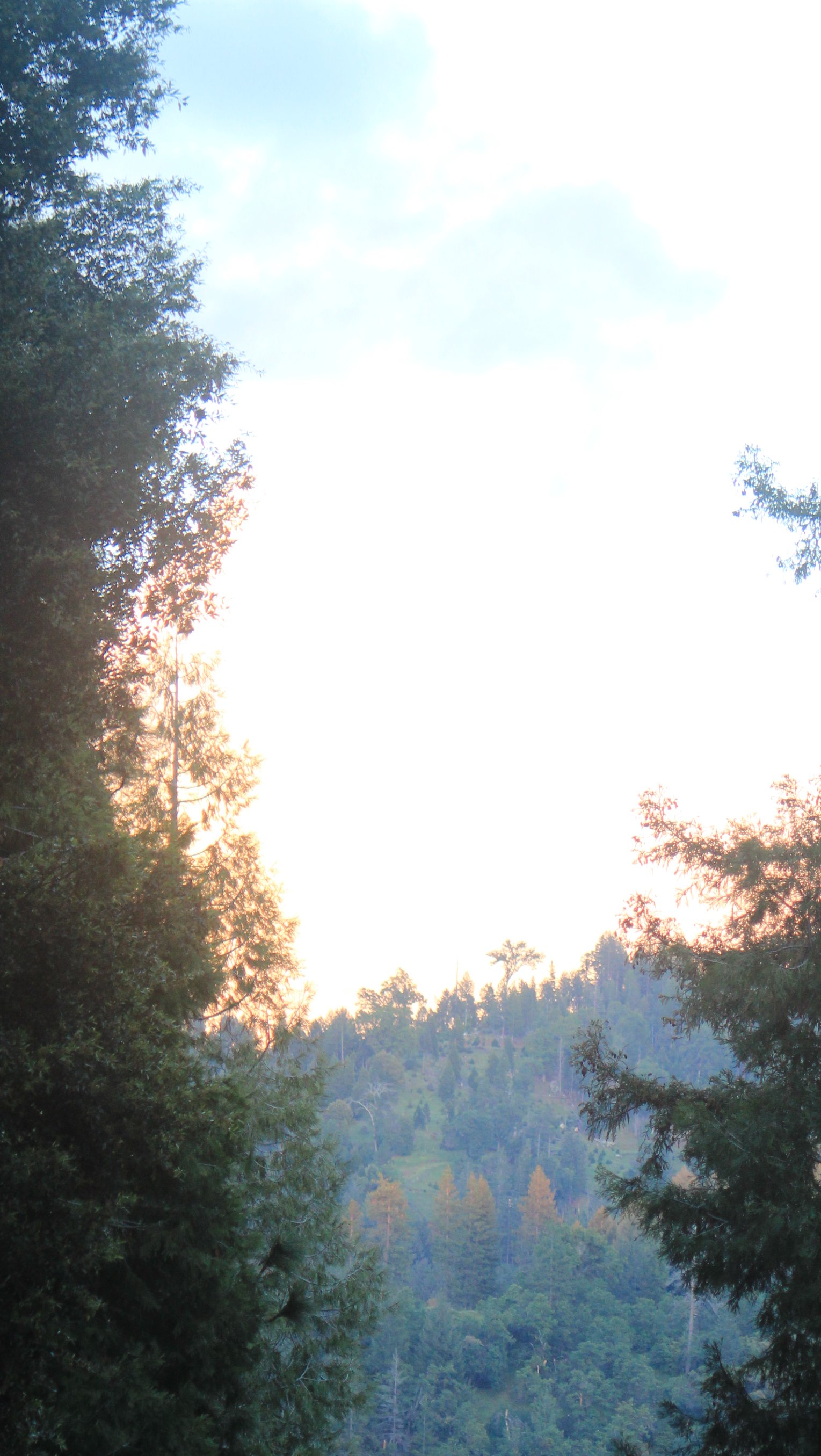 During a winter sunrise