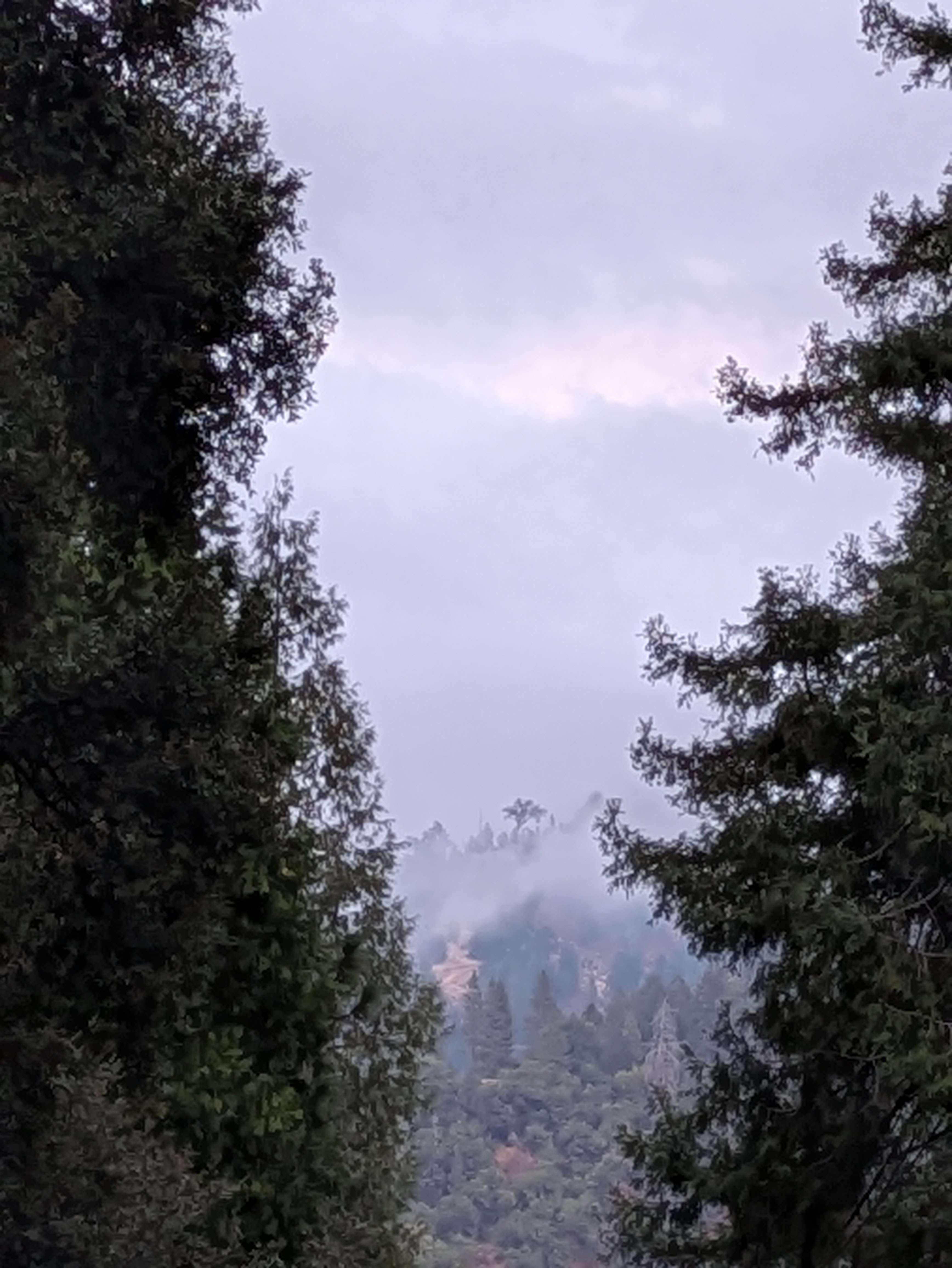 Misty clouds