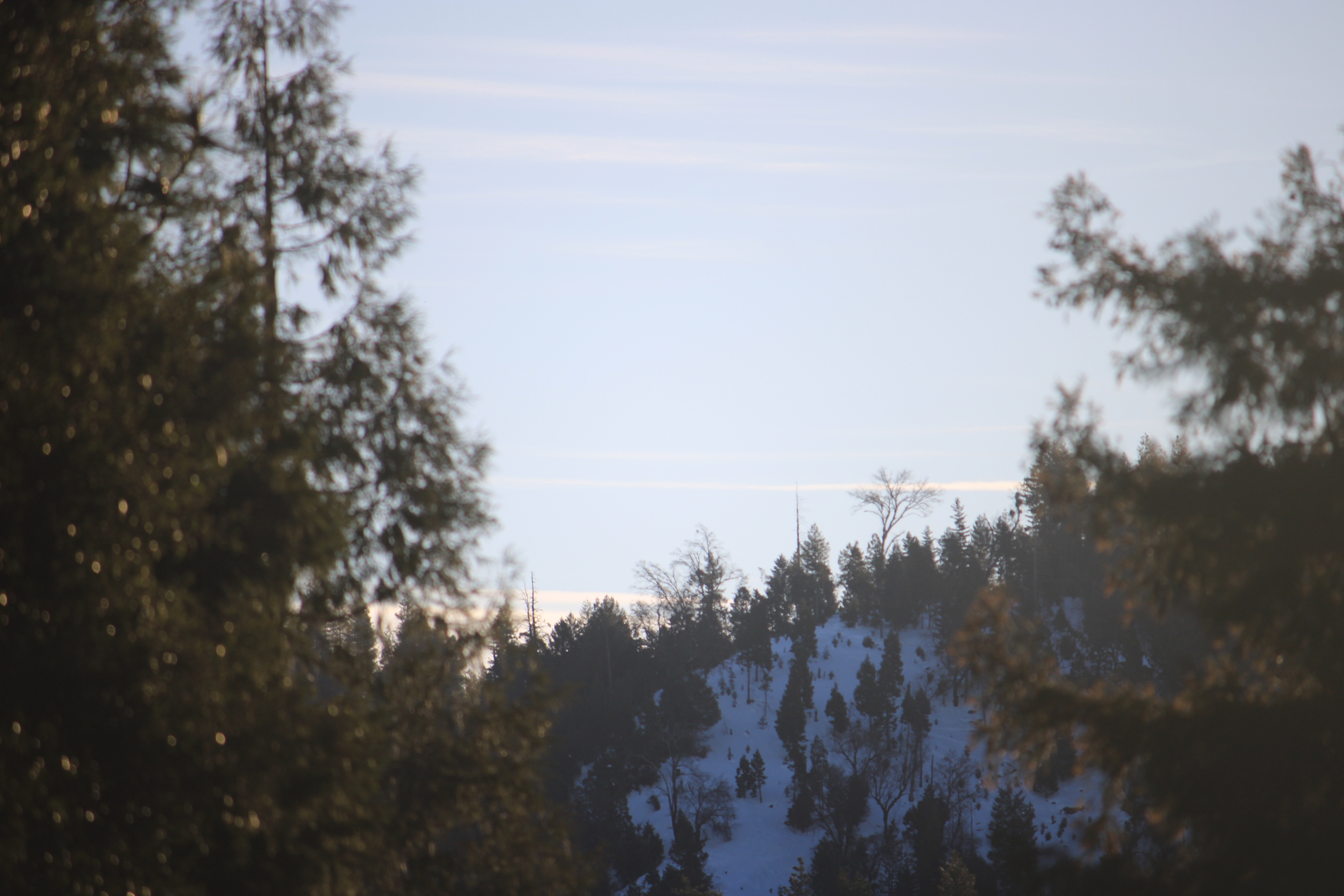 After some more snow